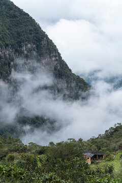 The Misty Mountains Cold of Choachi, Colombia