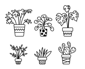 vector thin line home pot plants drawing 