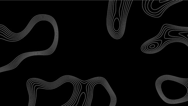 Topographic Line loop Background. Contour line texture.