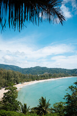 beach with trees and sea