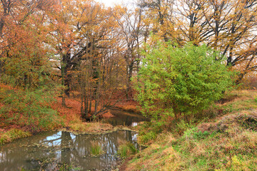 Landschaft 922