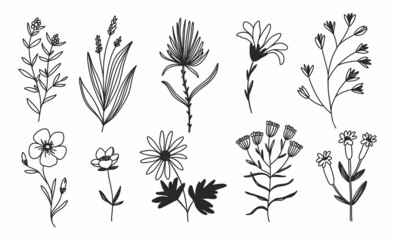 Linear flowers and branches. Line art herbs. Set of hand drawn highlight icon. Botanic elements for logo design for eco style, cafe, shop, blog, organic shop. 