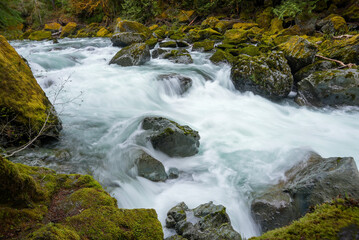 Fototapeta na wymiar waterfall in the Olympic national forest