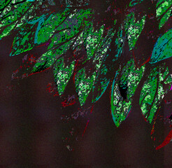  illustration close-up leaves in abstract arrangement red-green brushwork