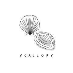 Hand-drawing illustration of scallops icon. 
