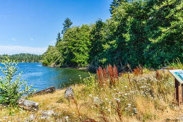 Woodard Bay Shoreline