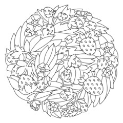 Strawberries with leaves and flowers. Vector linear drawing.