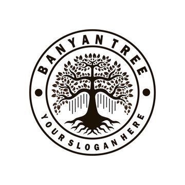 banyan tree logo design template. circle stamp style logo. tree illustration vector