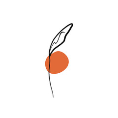 Elegant flower, leaf branch outline illustration. Modern concise, minimalistic, simple art. Vector, hand drawing. 
