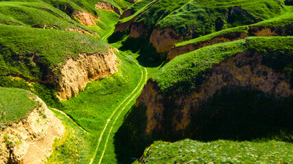 Canyon cliffs mountains green grass top view