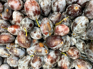 plum background. Group of delicious plums