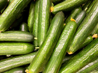 cucumbers background. Large group of cucumbers