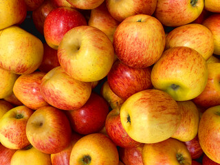 apples background. Large group of apples