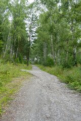 a dirt road in the mountains goes up, a dirt road passes along the mountain slope, Green tourism Hiking in nature. Road to the sky, selective focus, tinted image