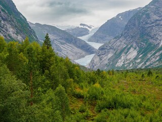 Fototapeta na wymiar Nigardsbreen glacier, Norway.