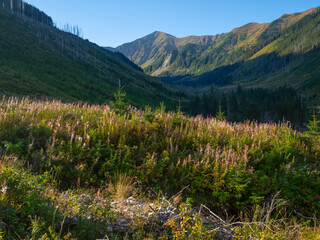 Dolina Staroeobociańska, Tatry Zachodnie © Ola i Eryk