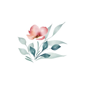 Delicate floral bouquet 2. Digital in watercolor style. poppy flowers with delicate greenery and eucalyptus