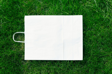 Top view of square frame, creative layout of lawn green grass with craft eco-friendly package with handles. 