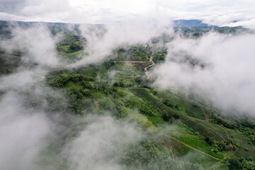 Fototapeta na wymiar Foggy mountain in tropical rainforest at national park