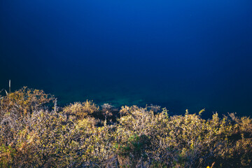 Fototapeta na wymiar Coral reef and sea
