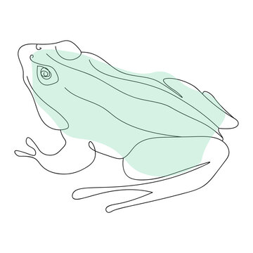 Vector illustration in a linear style. Abstract illustration with animals and plants - frog. Vector pictures for design. 