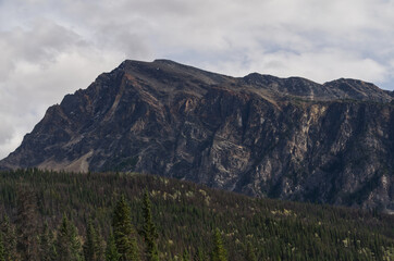 Naklejka premium Mountain Landscape in Late Summer