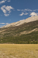 Mountain Landscape in Late Summer