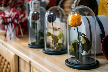 Preserved Stabilized Roses in flower florist shop, boutique. Flower Head Preserved, Infinity Rose...