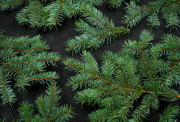 Composition of fir branches on a black background. Christmas background.