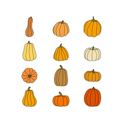 Set of pumpkins. Modern hand-drawn autumn set, vector illustration. Harvest festival, Thanksgiving day, Halloween symbols collection. Autumn decorative elements for your design. Vegetarian food.