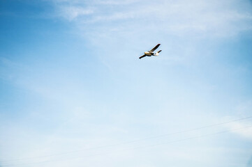 A small plane flying in the sky.  