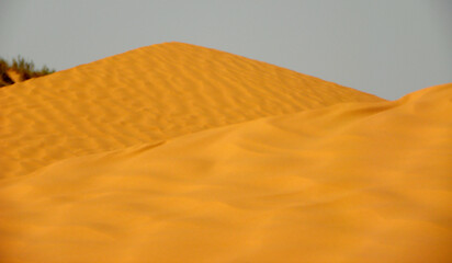 desert sand dunes