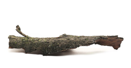Rotten tree bark isolated on white background - obrazy, fototapety, plakaty