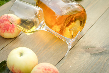 A glass of organic homemade apple wine,cider in the harvest season. Natural alcohol, farming and agriculture concept