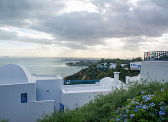 Sidi Bou Said - Nature