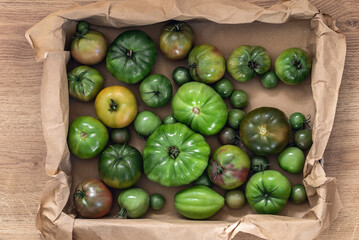Various green tomatoes are ripening in the carton box indoors