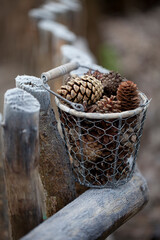 Winter Autumn Impression On Old Fence