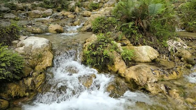 Mountain stream in the tropical jungle. Clear water flows between the stones.