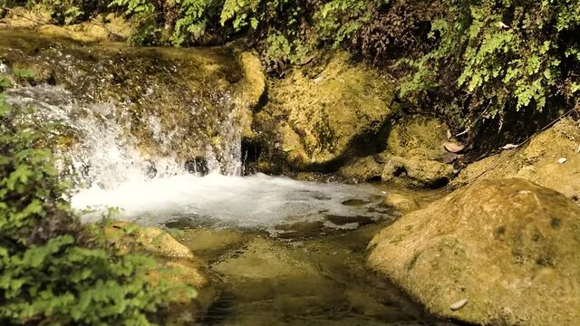 Mountain stream in the tropical jungle. Clear water flows between the stones.