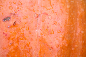 Surface of orange ripe pumpkin for Halloween background