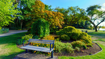 Wooden bench by garden at Burnaby Mountain Park, BC, with tree showing early signs of approaching...
