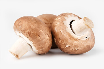 Fresh champignon mushrooms, isolated on white background. 