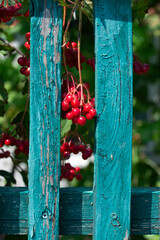 Photos are made in the style of minimalism, impressionism and art