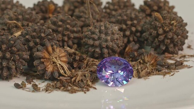 aquamarine blue diamonds on a pile of new economic crop seed. .new economic crops After unlocking from being a narcotic Become a diamond of agriculture in Thailand. . dry Kratom seeds background.
