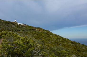 Cape Point - Green