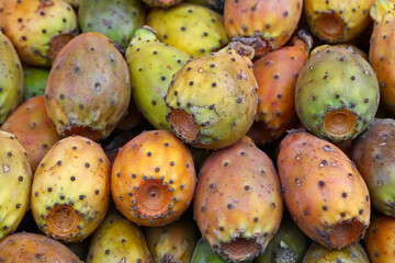 Opuntia cactus fruits on retail display