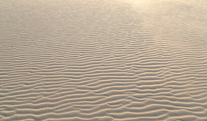 Lacka dune in Leba. Slowinski National Park. Popular tourist destination in Poland.