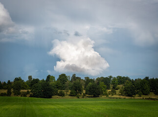 Obraz na płótnie Canvas Fluffy cloud behind trees in sunny afternoon