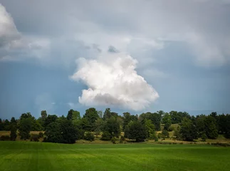 Fotobehang Fluffy cloud behind trees in sunny afternoon © Andreas Hoff
