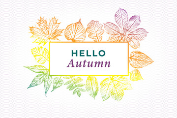 Hello Autumn Greetings Style Logo with Maple Hazel Oak Sycamore and Other Fall Leaves Vintage Print Style Composition Template - Multicolor on White Background - Hand Drawn Design